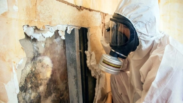Mold­­ & Microbial Remediation